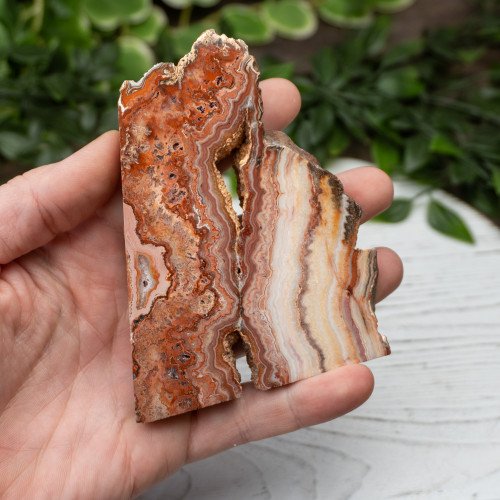 Pink Lace Chalcedony Slab #5