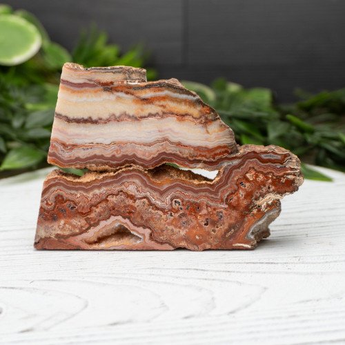 Pink Lace Chalcedony Slab #5