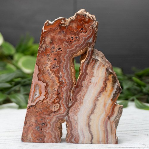 Pink Lace Chalcedony Slab #5