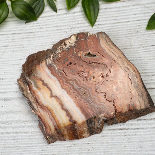 Pink Lace Chalcedony Slab #4