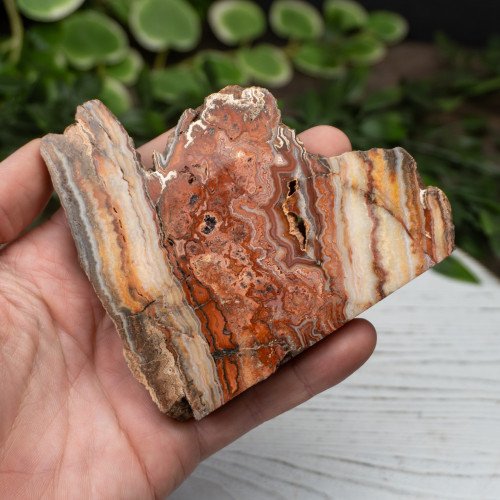 Pink Lace Chalcedony Slab #2