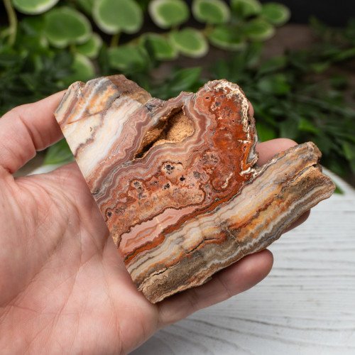 Pink Lace Chalcedony Slab #2