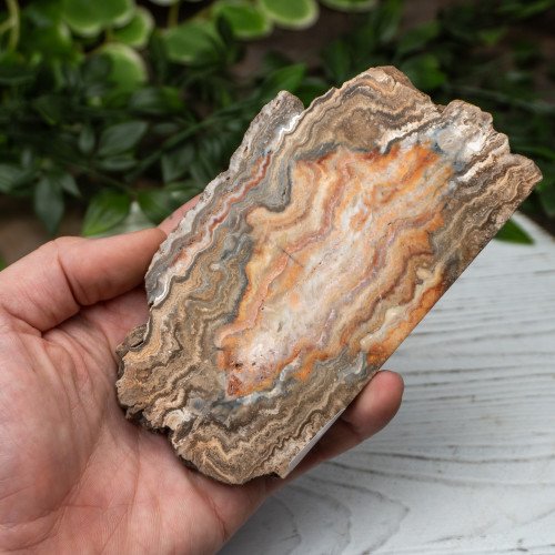 Pink Lace Chalcedony Slab #1