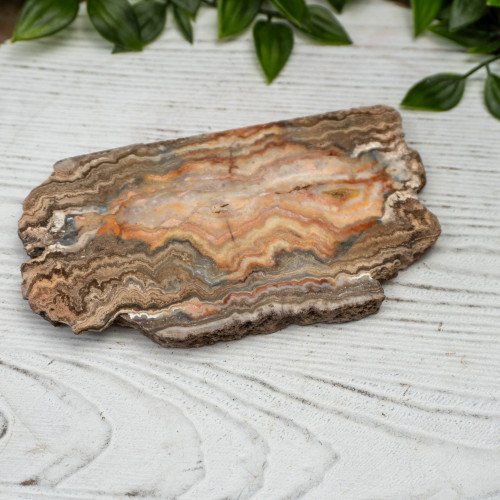 Pink Lace Chalcedony Slab #1