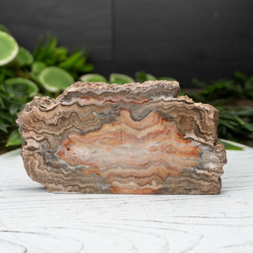 Pink Lace Chalcedony Slab #1