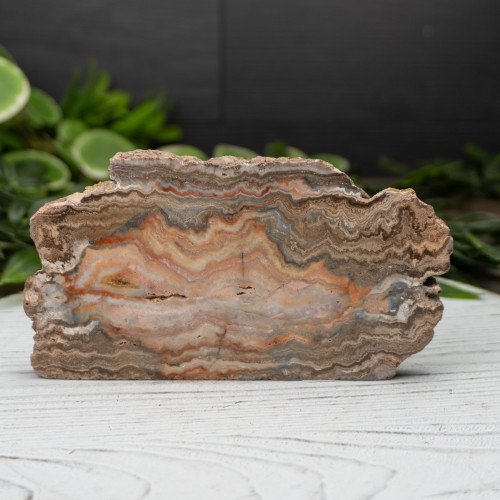 Pink Lace Chalcedony Slab #1