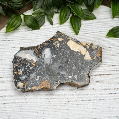 Maligano Jasper Slab #5