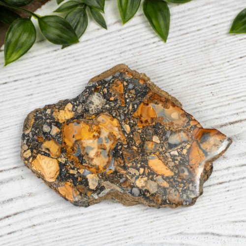 Maligano Jasper Slab #4