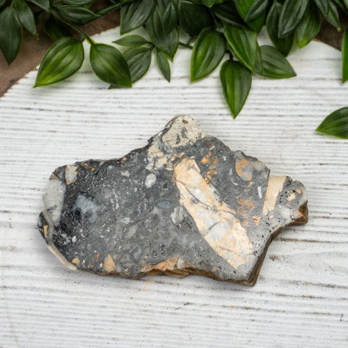 Maligano Jasper Slab #2