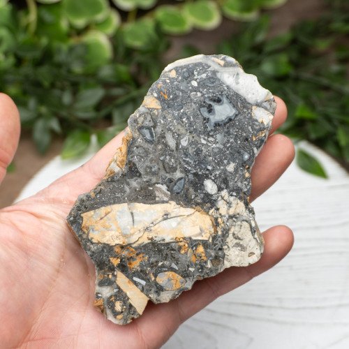Maligano Jasper Slab #2