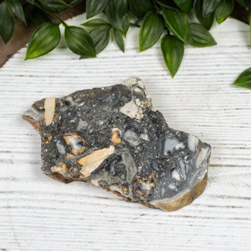 Maligano Jasper Slab #2