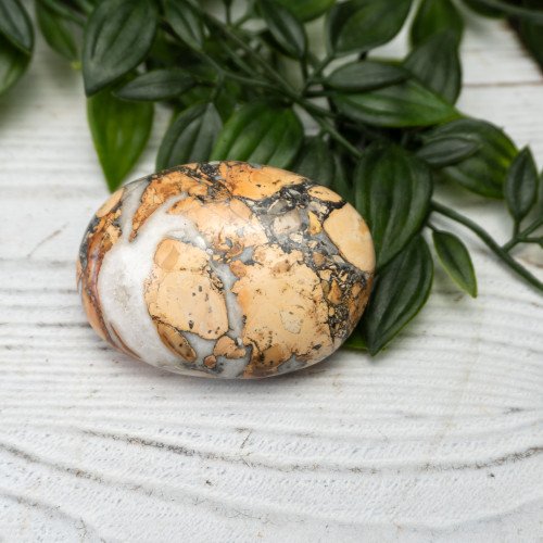 Maligano Jasper Palmstone #10