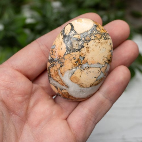 Maligano Jasper Palmstone #10