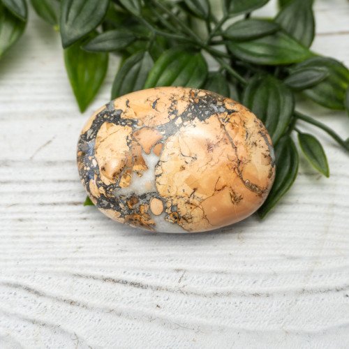 Maligano Jasper Palmstone #10