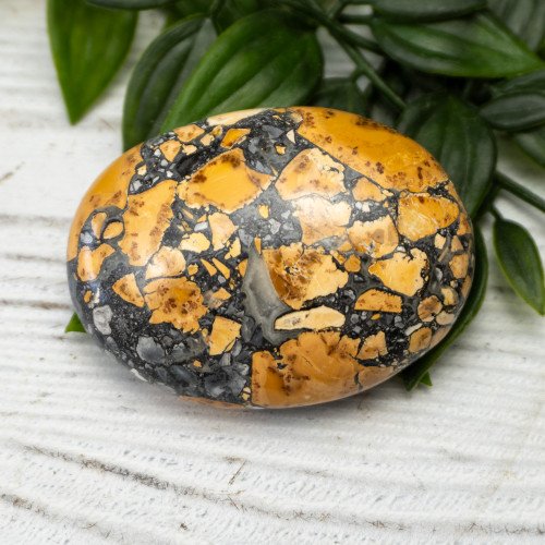 Maligano Jasper Palmstone #9
