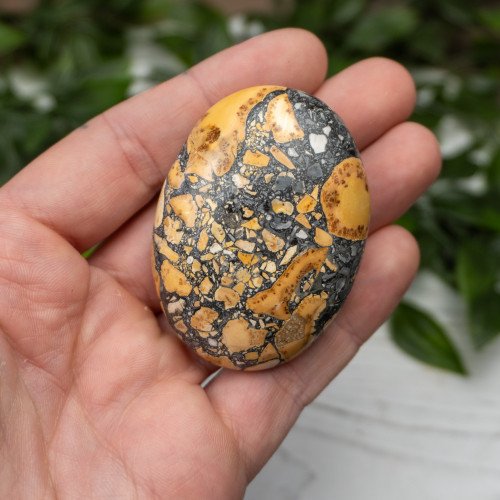 Maligano Jasper Palmstone #9