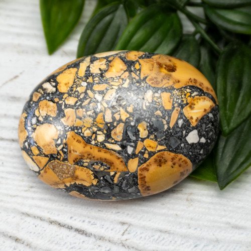 Maligano Jasper Palmstone #9