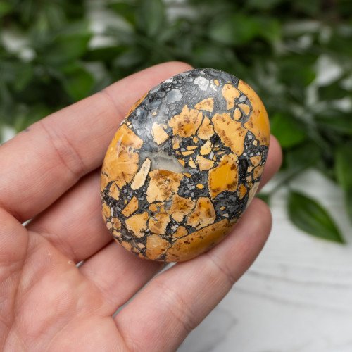 Maligano Jasper Palmstone #9