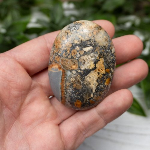 Maligano Jasper Palmstone #8