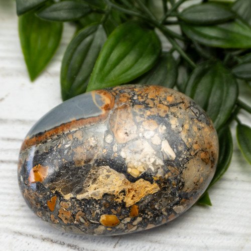 Maligano Jasper Palmstone #8