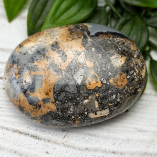 Maligano Jasper Palmstone #8
