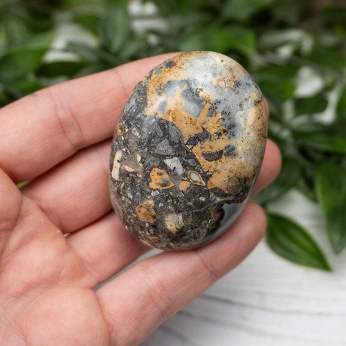 Maligano Jasper Palmstone #8