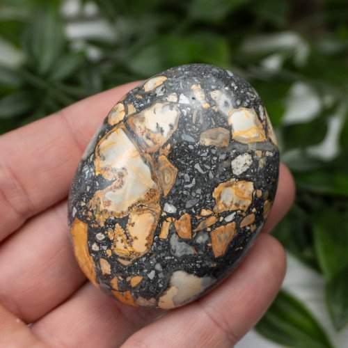 Maligano Jasper Palmstone #7