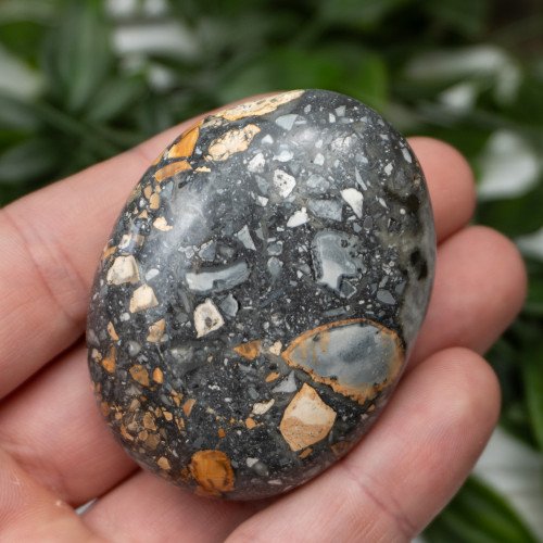 Maligano Jasper Palmstone #7