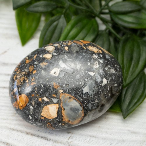 Maligano Jasper Palmstone #7