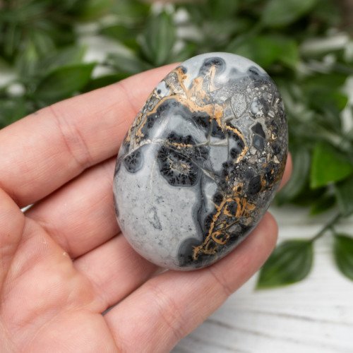 Maligano Jasper Palmstone #6