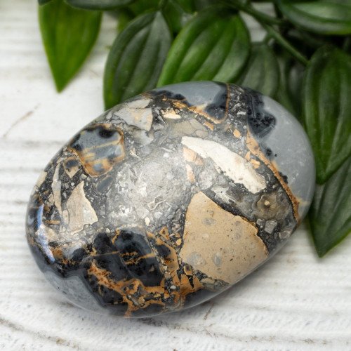 Maligano Jasper Palmstone #6