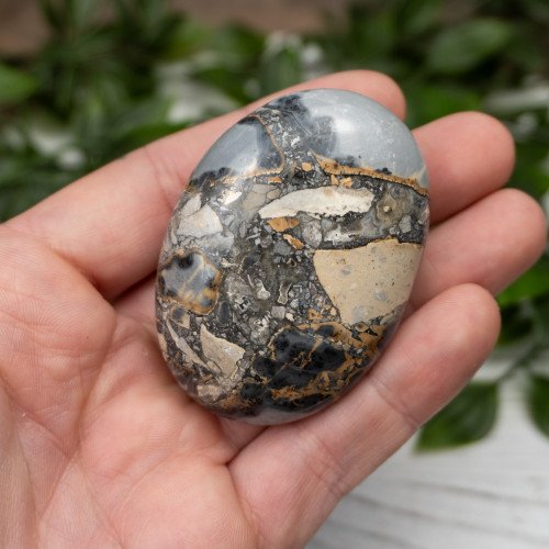 Maligano Jasper Palmstone #6