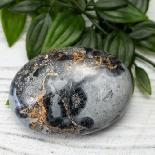 Maligano Jasper Palmstone #6