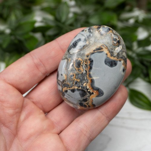 Maligano Jasper Palmstone #5