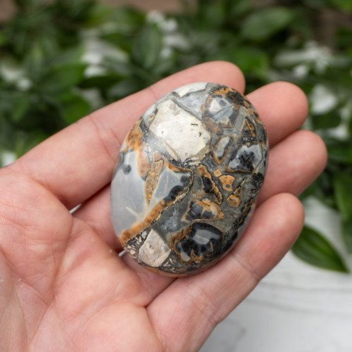 Maligano Jasper Palmstone #5