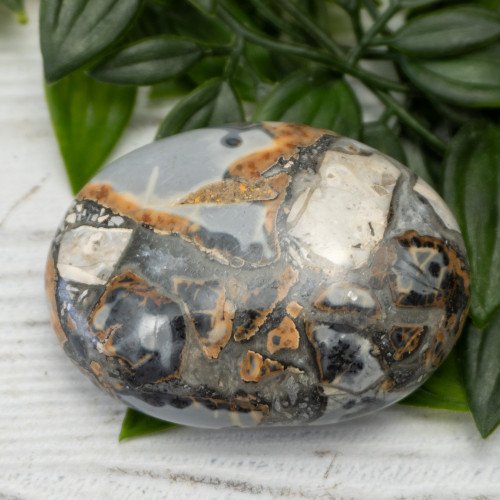 Maligano Jasper Palmstone #5