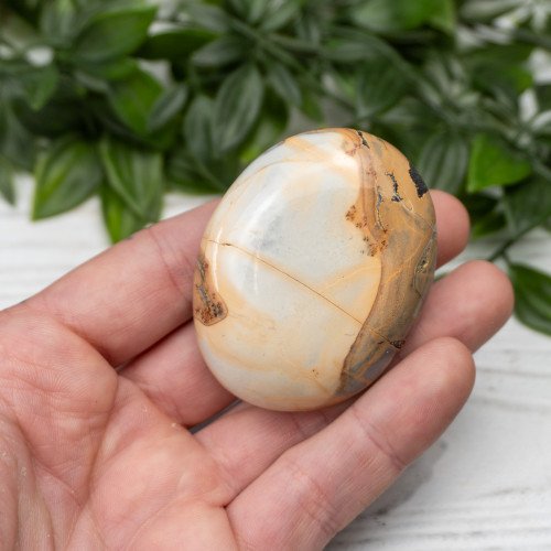Maligano Jasper Palmstone #4