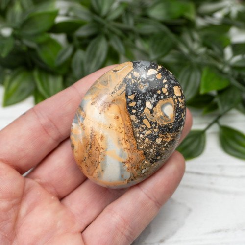 Maligano Jasper Palmstone #4