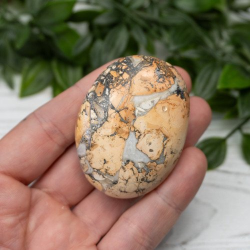 Maligano Jasper Palmstone #3