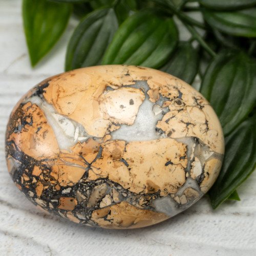 Maligano Jasper Palmstone #3