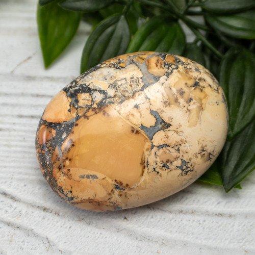 Maligano Jasper Palmstone #3