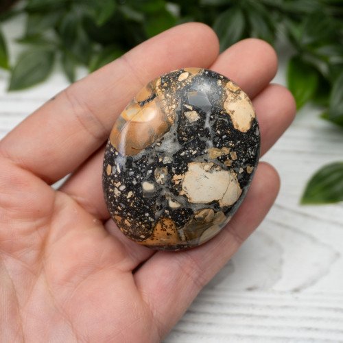 Maligano Jasper Palmstone #2