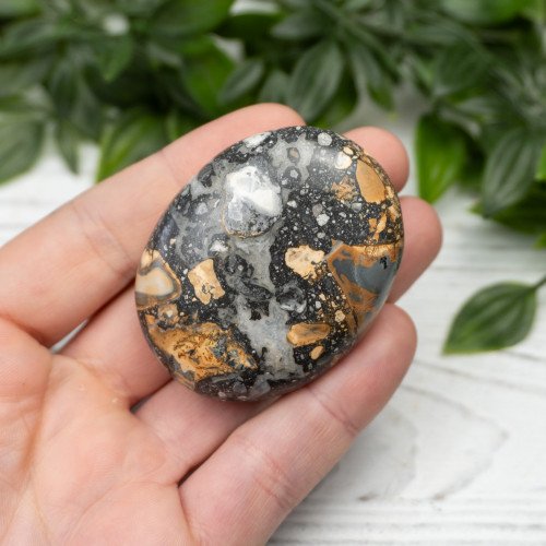 Maligano Jasper Palmstone #2