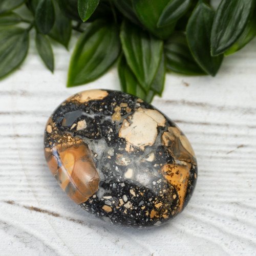 Maligano Jasper Palmstone #2
