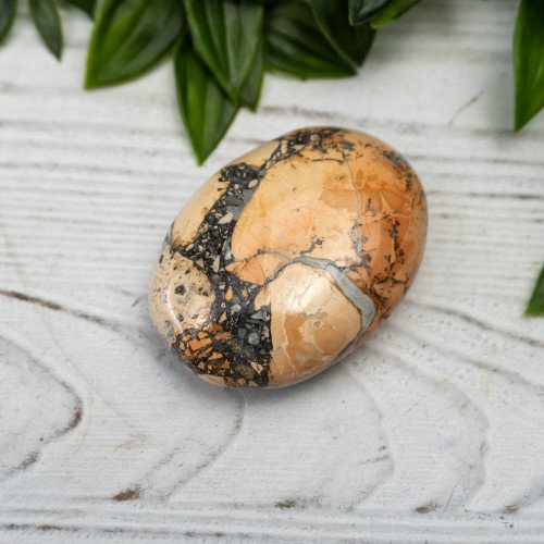 Maligano Jasper Palmstone #1