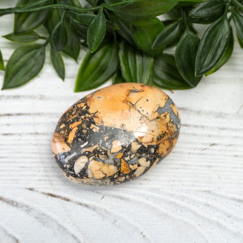 Maligano Jasper Palmstone #1