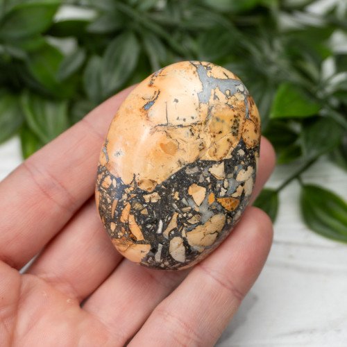 Maligano Jasper Palmstone #1