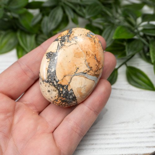 Maligano Jasper Palmstone #1