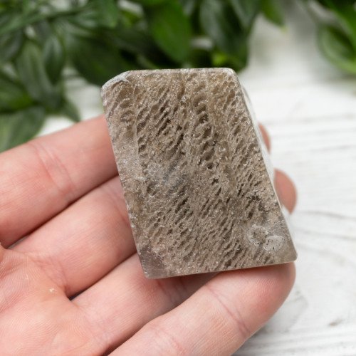 Garden Quartz Polished #10