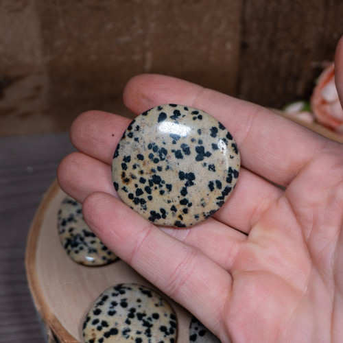 Small Dalmation Stone Palmstone